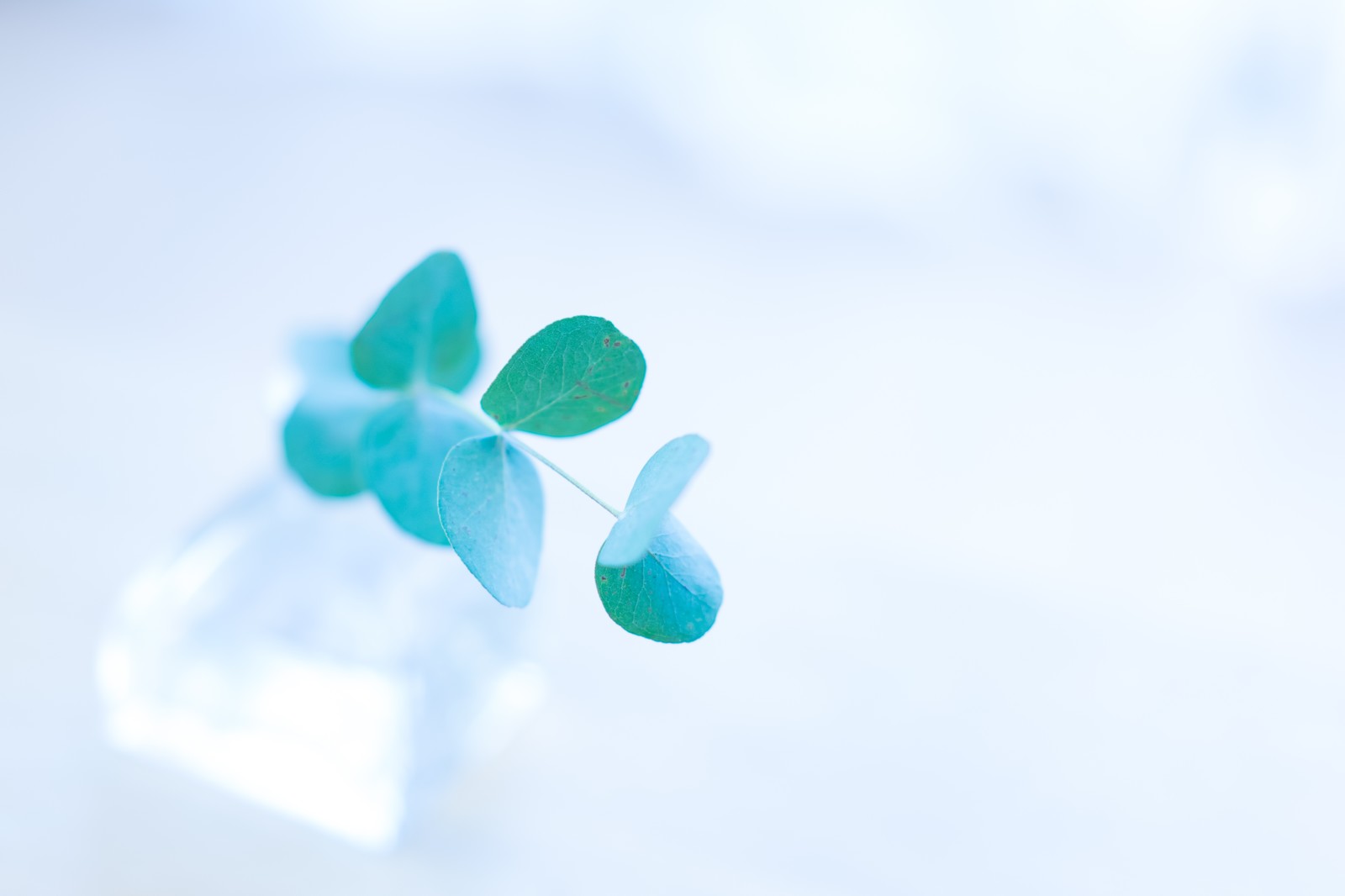 子持ちの転職タイミングはいつがいい ママにも子どもにも良い時期は